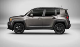 
										JEEP Renegade 2023 NIGHT EAGLE ETIQUETA ECO full									
